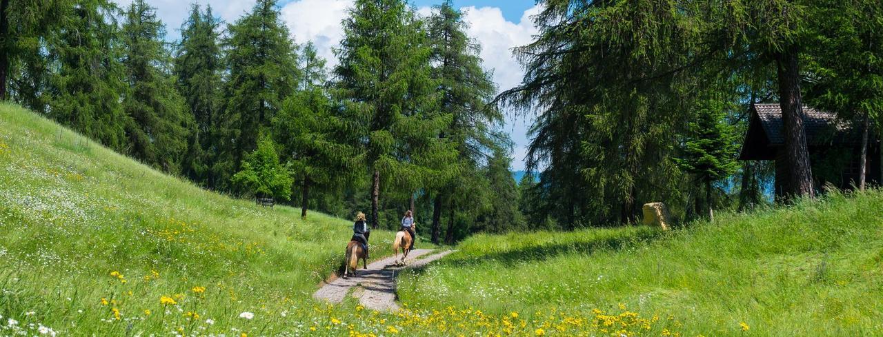Camping Chalet Salten San Genesio Atesino Buitenkant foto